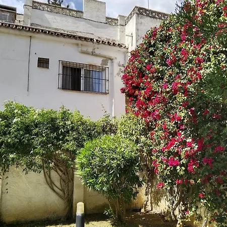 Piso Carlota Alessandri *